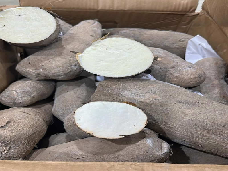 Export_4_yam tubers
