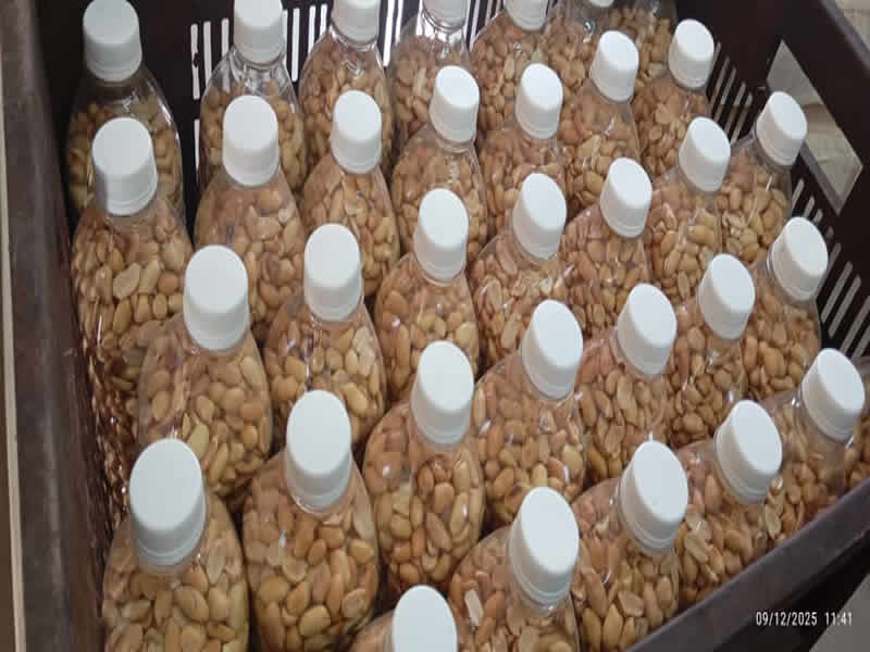 Export_5_ground nuts
