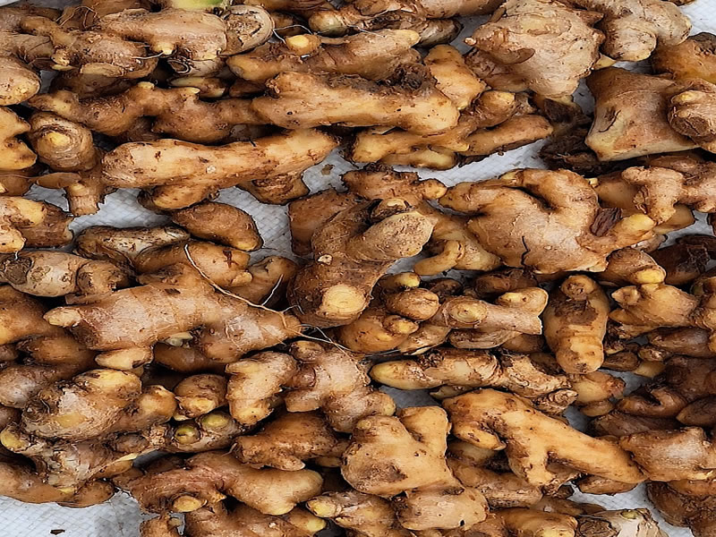 ginger